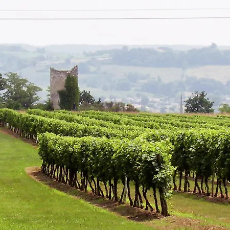 Near Bergerac Vineyards, Cleaning Included * Sigoulès